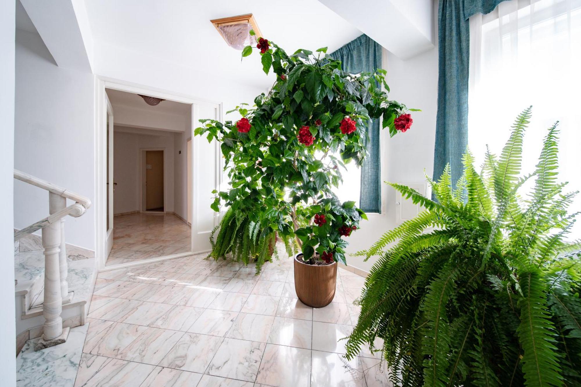 Hotel Lilla Panzio à Odorheiu Secuiesc Extérieur photo